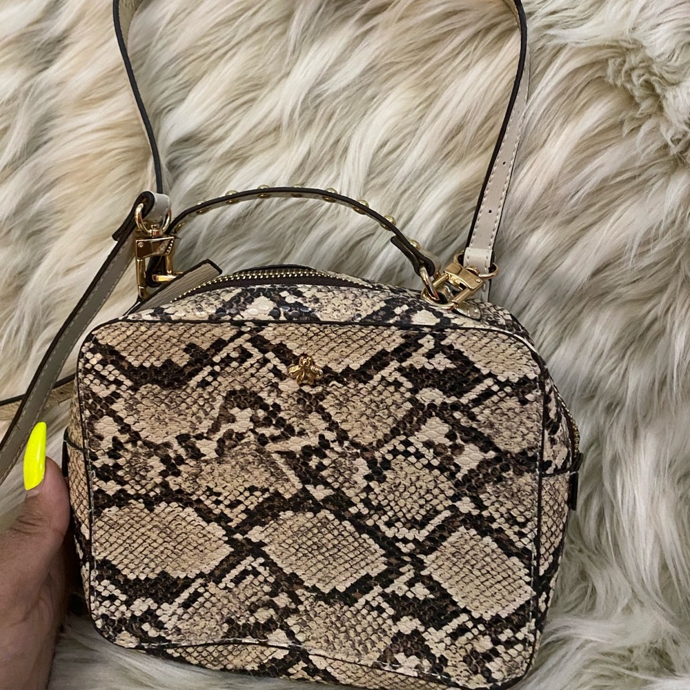 Small snake skin crossbody.